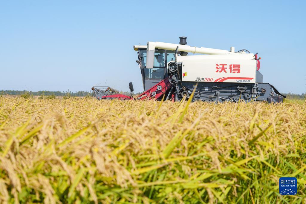 鑫乐彩打鱼送分